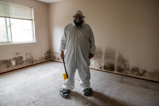 Best Toxic Mold Removal  in Wewahitchka, FL